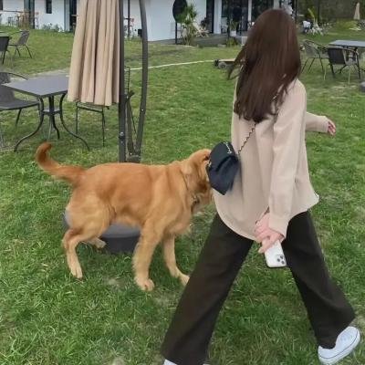 木偶王子复仇记
