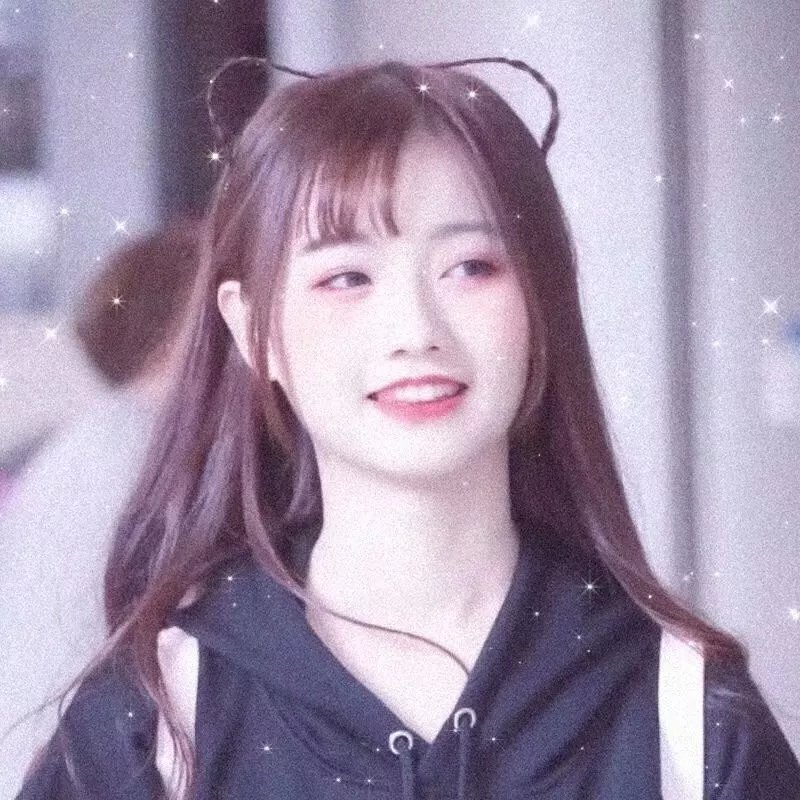 征服北极的人